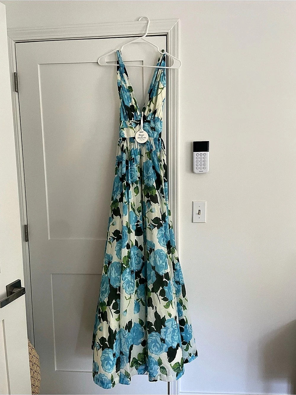 Anthropologie Hope for Flowers by Tracy Reese Floral Maxi Dress in Blue & White